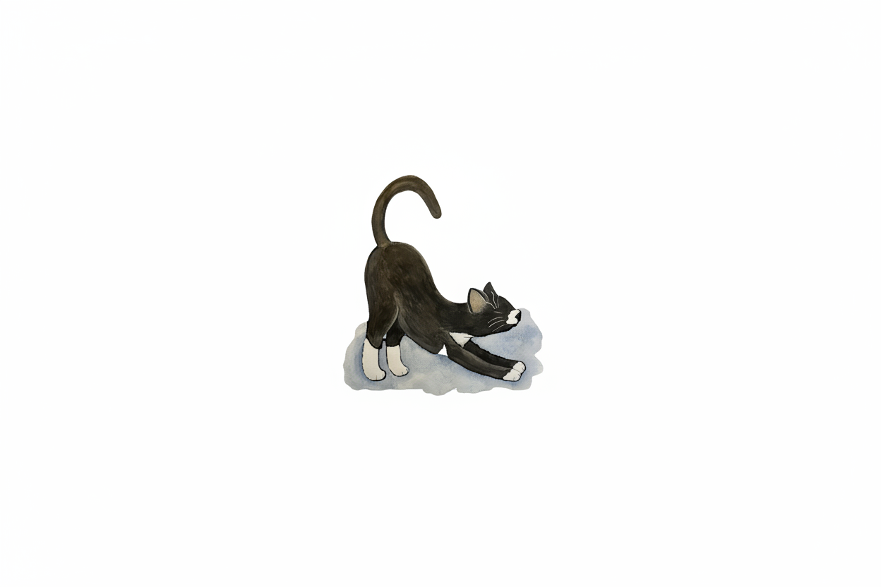 Hero banner with stretching cat